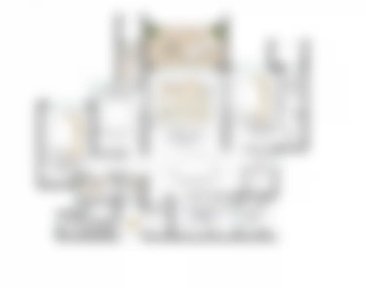Tower 4 · Unit 2 — 3 Bed with Study